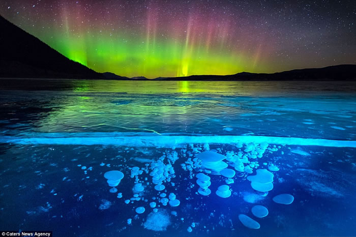 加拿大落基山脉亚伯拉罕湖北极光照射在冰气泡上很壮观