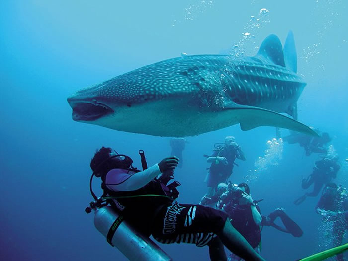 ǱˮԱ��ī����������Ⱥ�����װﾨ��ȥ������������ĵ�����