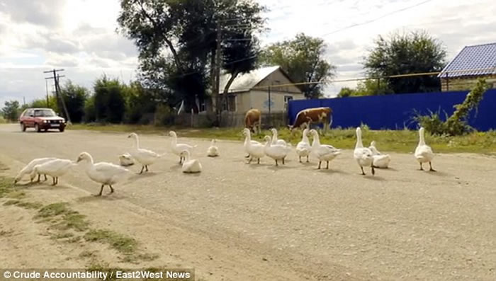 ������˹̹��ׯ�����ϲ���ԭ����˯֢��������֯����Ǩ��˴�ׯ