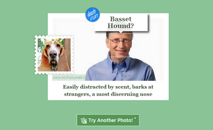 微软创办人比尔盖兹测出来像巴吉度,大鼻子和镜框似乎有些类似。这是一种擅长追踪气味、会对陌生人吠叫,嗅觉非常灵敏的狗狗。