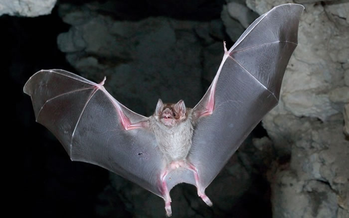 ��ָ���𲢷�ä�ġ�