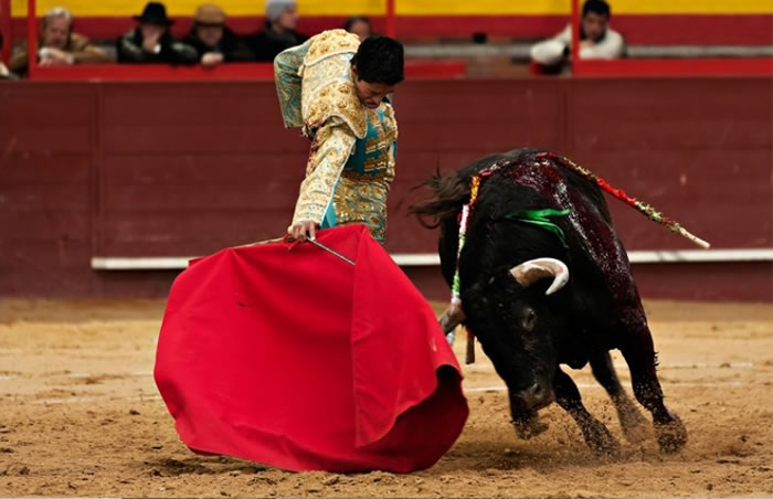 ��ţ��ʵ�ǶԶ�ţ��ʿ�Ļ�з�Ӧ��