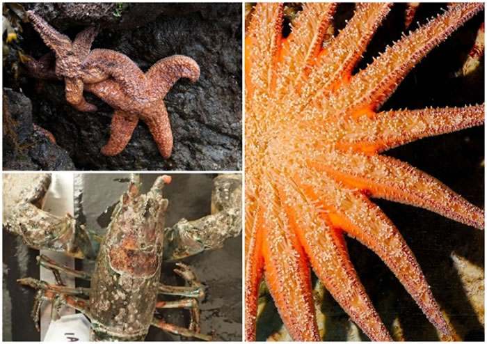 ǣͼϣϺͼ£ѧҳ뺣ˮůйءͼΪǡ