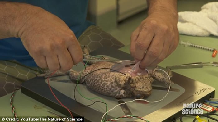 ޿ѧûչʾˮĸҺμͣ