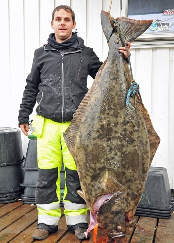 ������ӹ���ĳ�����ʷ��˹��������Լ��