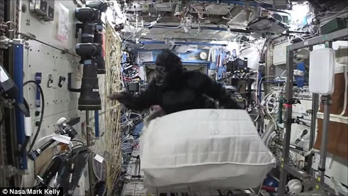 ����̫��վ��Ȼ����һֻ�������ɡ�