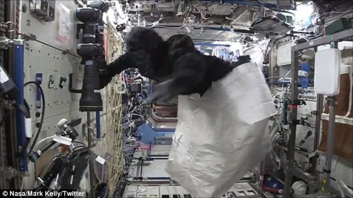 ����̫��վ��Ȼ����һֻ�������ɡ�