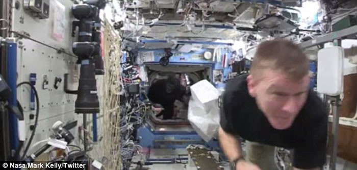 ����̫��վ��Ȼ����һֻ�������ɡ�