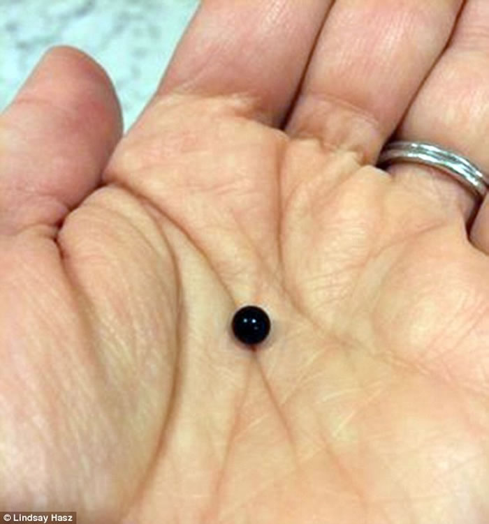 ������Ů����ʽ�������ø��ô�� ����Գ�����������