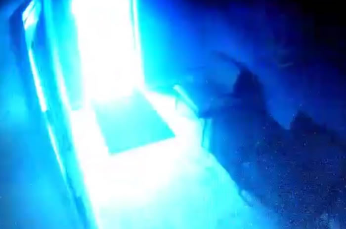 ͻȻ����ͷǰһƬ���ʡ�