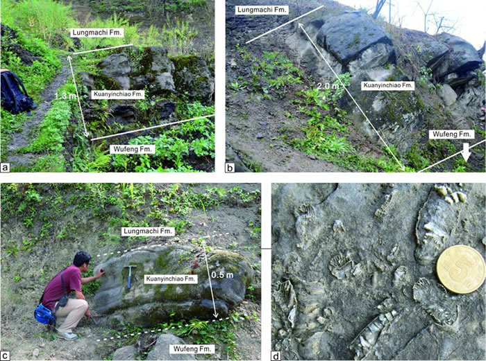 ������Ƭ