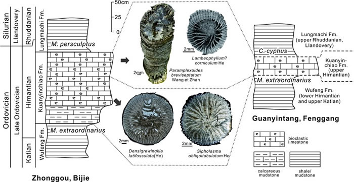 �о����ز㻮�ֶԱ�