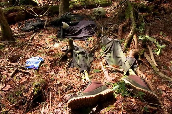 日本富士山脚下“青木原树海”被称为自杀森林,每年都有上百具尸体被发现