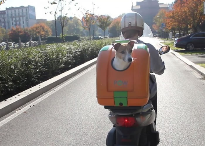 ˾ĦгרõβPet On Wheels