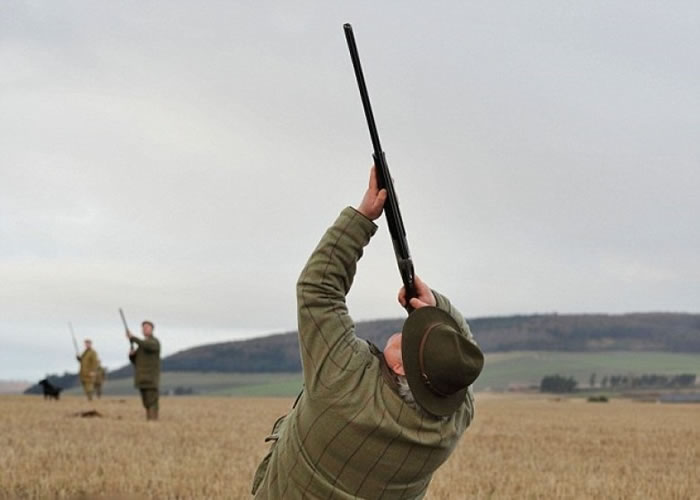 ������ЧӦӰ�죬Ӣ��������������Ұ����