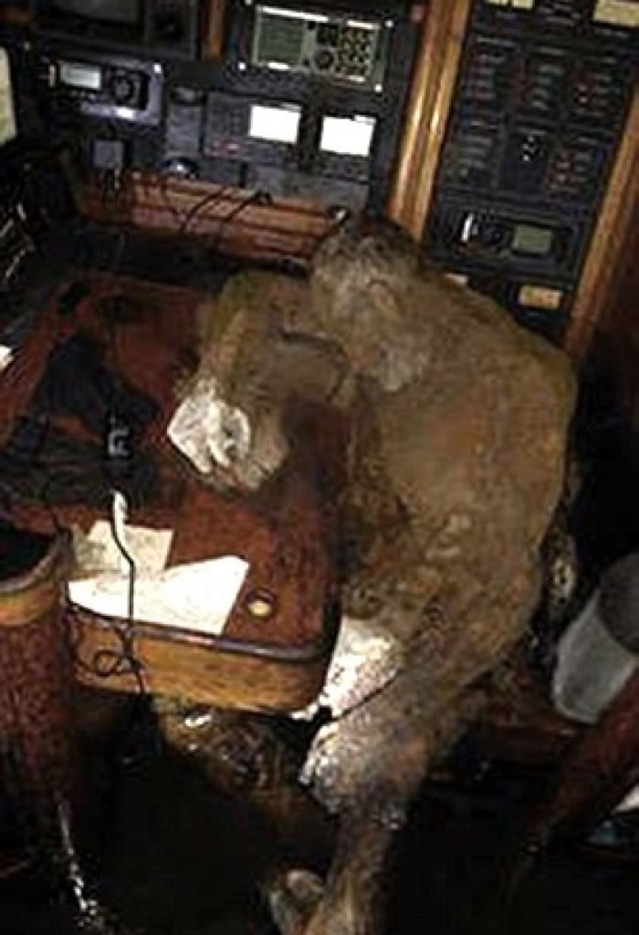 ר��ָ���������ص�������������ʮ��ͻȻ��