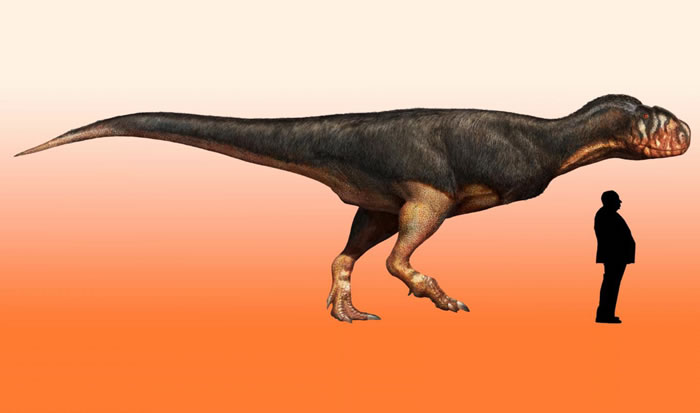 新品种肉食恐龙名为「阿贝力龙」。图为模拟图。