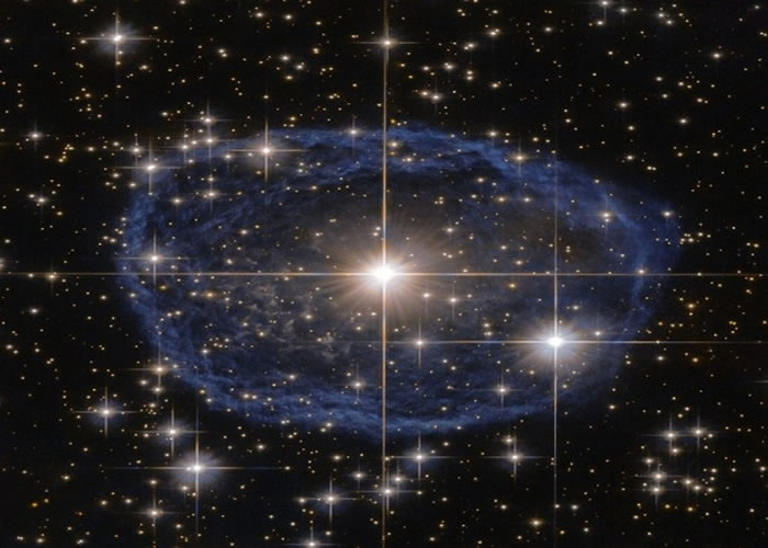 WR 31a���ֶ���-��Ҷ�ǣ��м������������������������ɫ���ư�Χס��