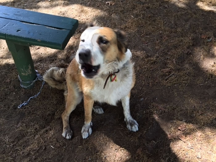 ���������Ӻӱ�ɢ��ʧ�� ��������Ьñ����һ��ؼ�