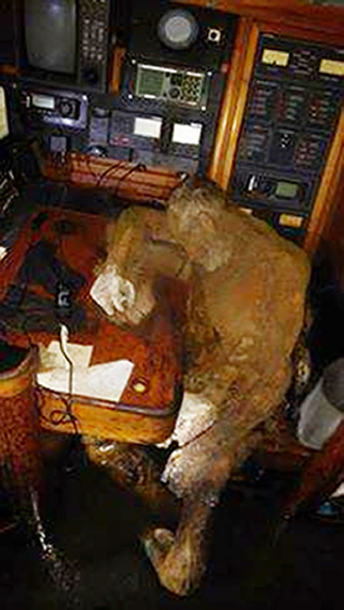 只死7天就变木乃伊干尸!德国探险家Manfred Fritz Bajorat离奇遭遇成谜