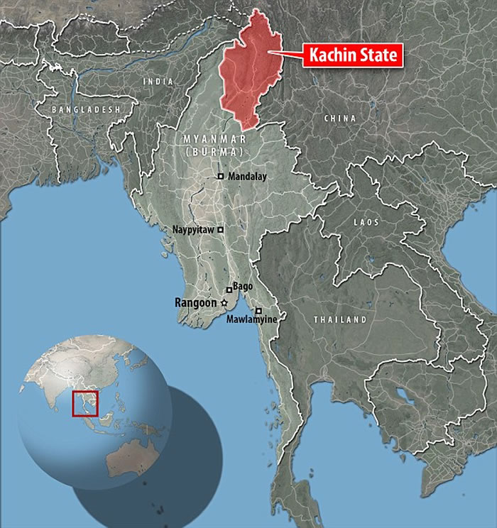 这12只蜥蜴发现于缅甸克钦邦丛林