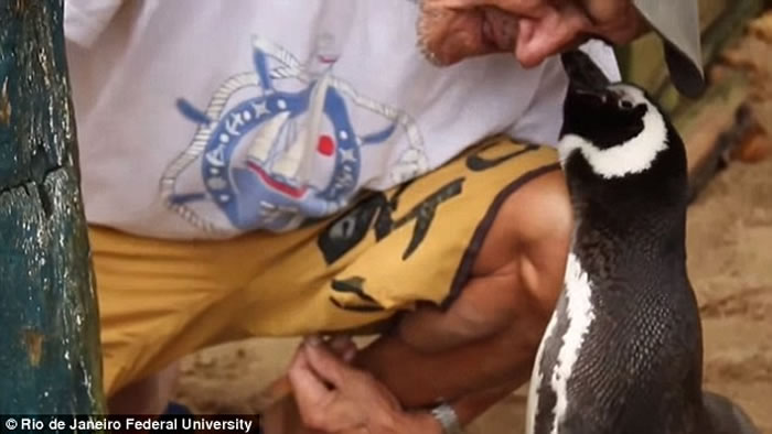 ���������������ȫ�����۱�����ÿ����8ǧ���������