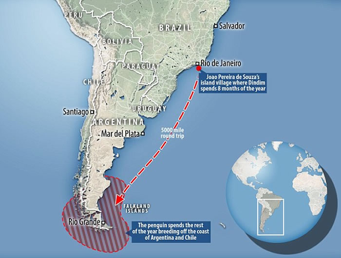 ���������������ȫ�����۱�����ÿ����8ǧ���������