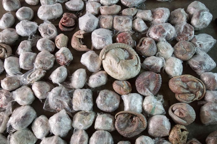 й㶫ʡԱڵ²ֿҵЩ׼۳ȥĴɽסһµоָзǷ۵ĴɽףйԴɽ׸λ / PHOT