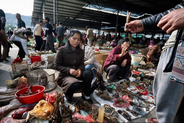 ͷܵ涯ﲿλгзۡ PHOTOGRAPH BY BEN DAVIES, LIG​​HTROCKET