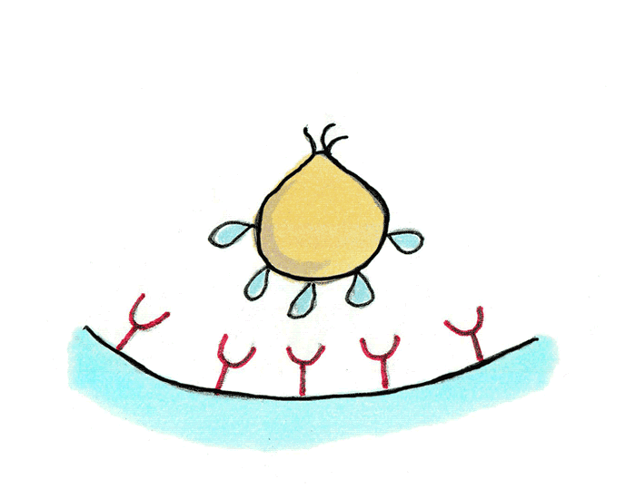 ����ϸ���ı��������������ﲢ�����������ɵĹ��� / GIF by Robert Krulwich