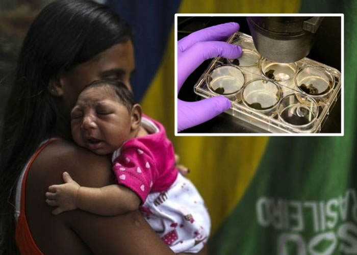 ѧҽڳɹҵկСͷ֢֮ϵ