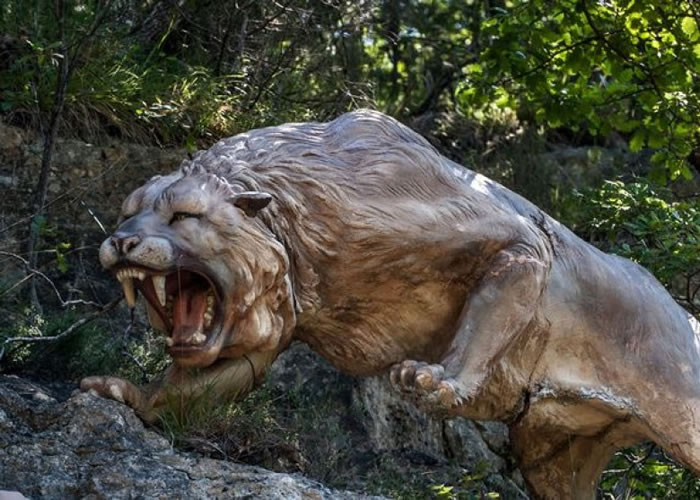 穴狮是狮子的祖先,在更新世时期灭绝。