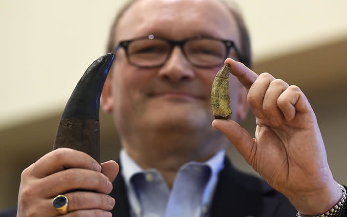 �����صĵĵ��򱨵�����EurekAlert!���׿�˹������һ��ԭʼ�ı��׿��������ڽ������԰��Ѽ����ڵĶ�����ʳ����ν�������ͳ�ο���ʱ���ľ��ޡ��ڴ�Լ6600��