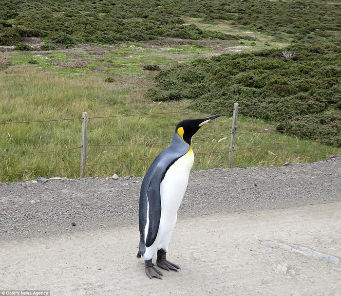 �����޶�������Ⱥ����;��������Ϲ�·������ҡƨ��һֱ��