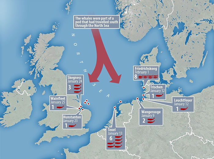 ʮͷĨ㾨̰Ըǳŷ޸̲