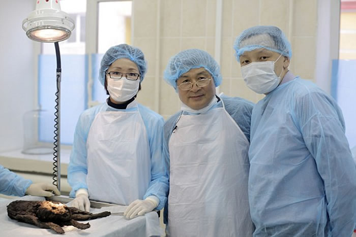 ����˹�������͹�ɪ�����պӱ߷���12400��ǰ��ľ������Tumat