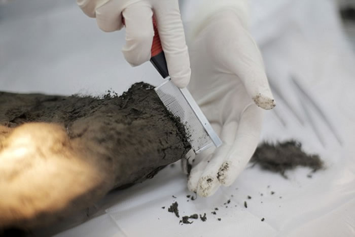 ����˹���������깷��ͼ����Ȯ���������ٷ��ֱ���1��2000���ľ������