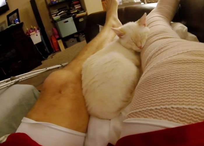 拉撒路赖在主人双腿之间,久久不离开。