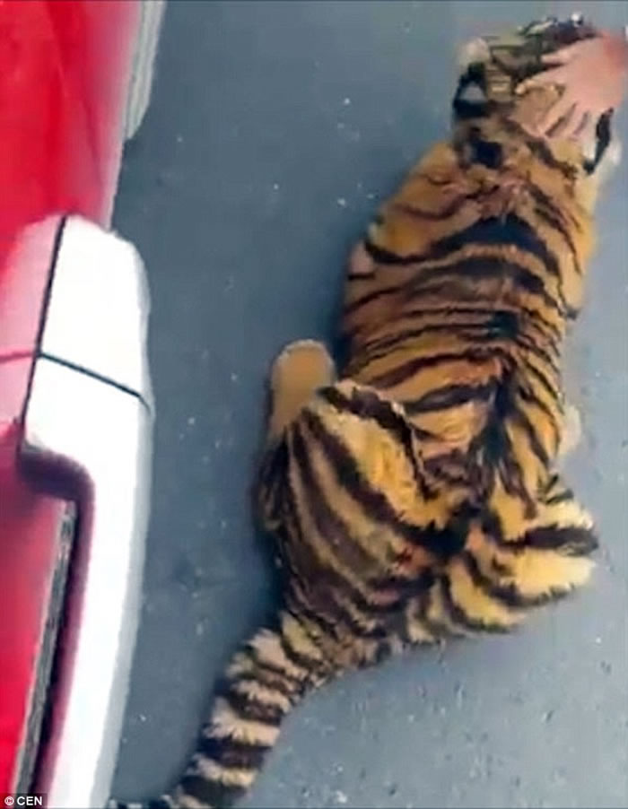 �ж����ҿ������׶������æ��·�ϻ��Ҵ�