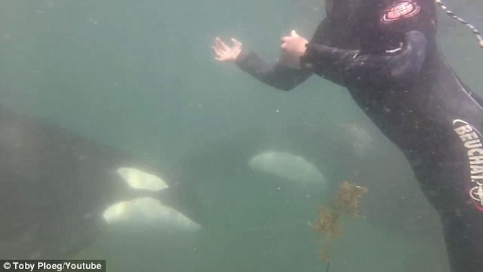 ��������Ǳ���ں��г���ʱ����������ɱ�˾�