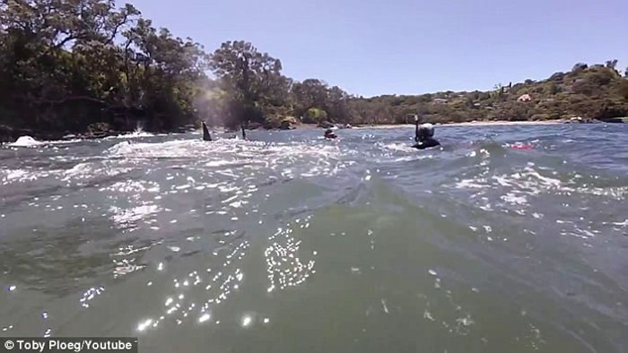 ��������Ǳ���ں��г���ʱ����������ɱ�˾�