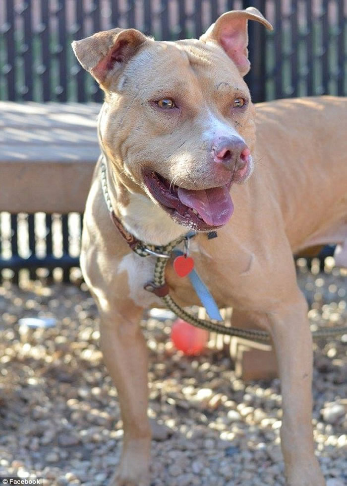 ��ֻ��Ϊ�����£�March�����ı���Ȯԭ����һֻ�൱���õ��Ѿ�Ȯ