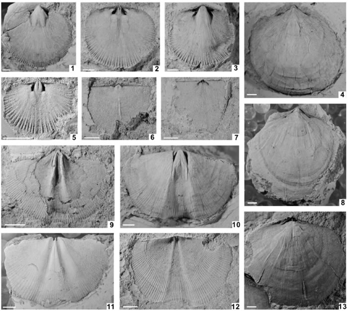 ̶¡־͵ײ㶯ϲϵĴԷ