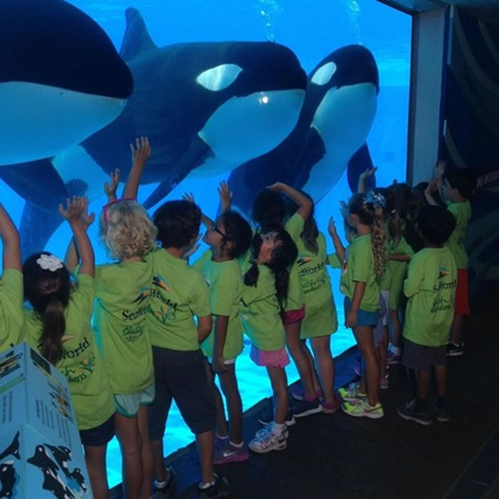 ˵еĻԽ԰չʾԡԵȻ·ʽù뻢桹