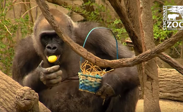 �������������������ᶯ��԰�����͵ش���������ף�����