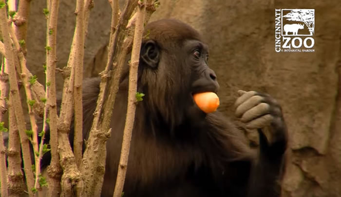 �������������������ᶯ��԰�����͵ش���������ף�����