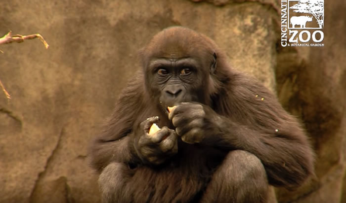 �������������������ᶯ��԰�����͵ش���������ף�����