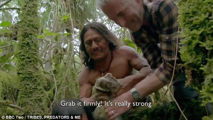 Ӣ��BBC��¼Ƭ�����䣬��ʳ������ҡ�����϶������ѷ���ֲ��Ե����������