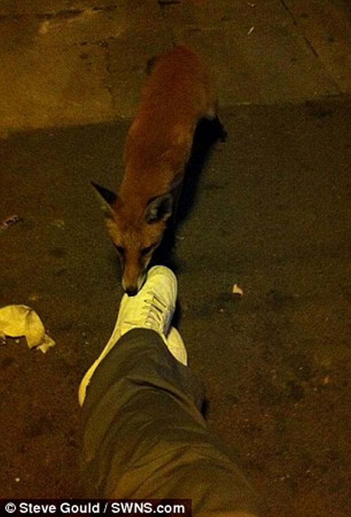 Ӣ���׶�����������ͷ ������������С�����ҧ�Լ����