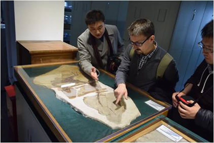 �й��Ŷ���ݽ���Ӣ���ٰ조�й����������Ӻ��ؾ��˵������顱��չ